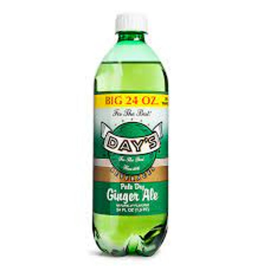 Day's Soda GingerAle 24/24 oz